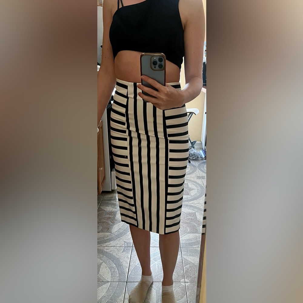 Zara skirt. Never worn. No tags